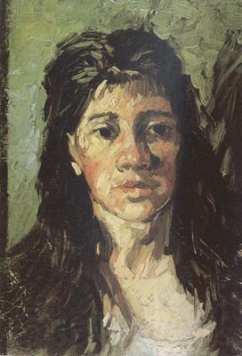 Vincent Van Gogh Head of a Woman with her Hair Loose (nn04)